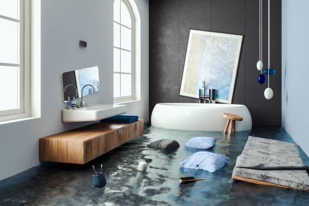 Best Carpet water damage restoration  in Farmington, UT