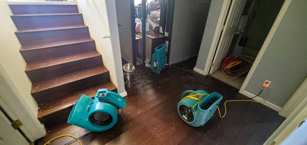 Best Water damage restoration near me  in Farmington, UT