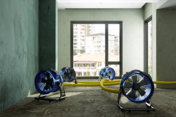 Best Water damage contractors near me  in Farmington, UT