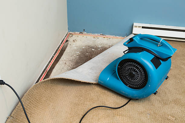 Best Flood restoration services  in Farmington, UT
